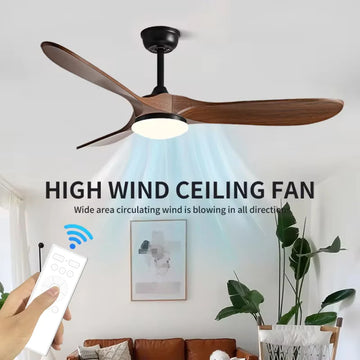Decorative Fans dropshipping Products