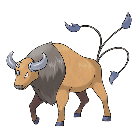 Tauros Pokémon Fakta