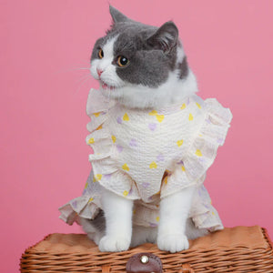Cat Sweet Love Dress Photo Apparel - Puppie World
