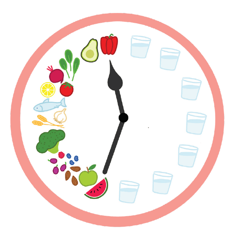 Circadian Eating Clock 10 Hour