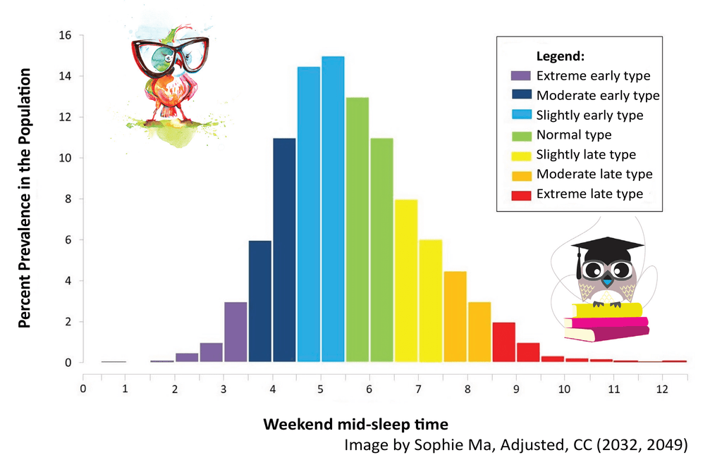 EARLY BIRDS VS LATE OWLS Graph