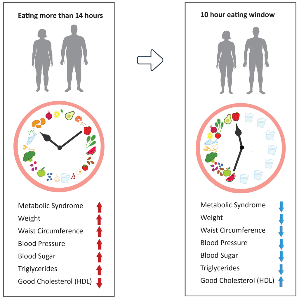 Eating 14 Hours VS Eating 10 Hours Per Day