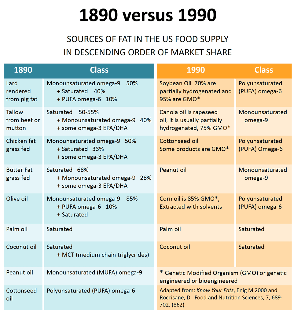 FATS IN 1890 VS 1990 CHART