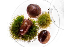 Chestnut Extract