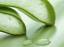 BioDTox tradename (mixture of bioflavonoids/broccoli extract/Aloe leaf extract)