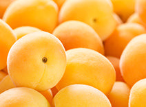 Apricot Oil