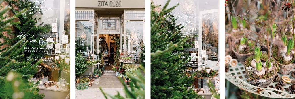 Flower shop Christmas edition with pines