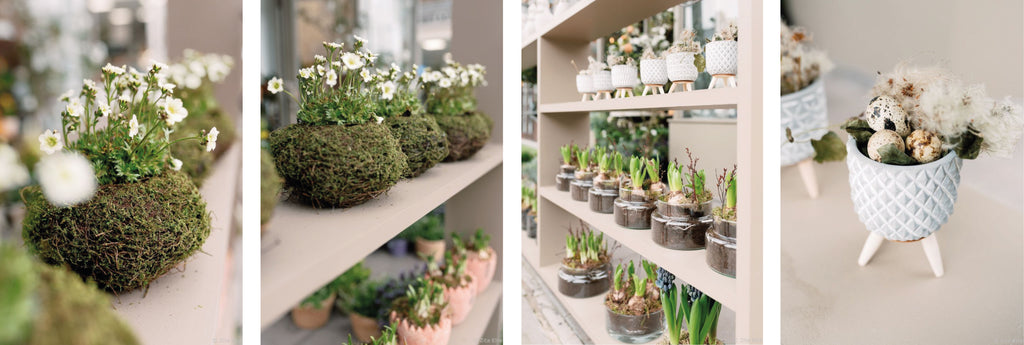 small flower and plant pots on wooden shelves