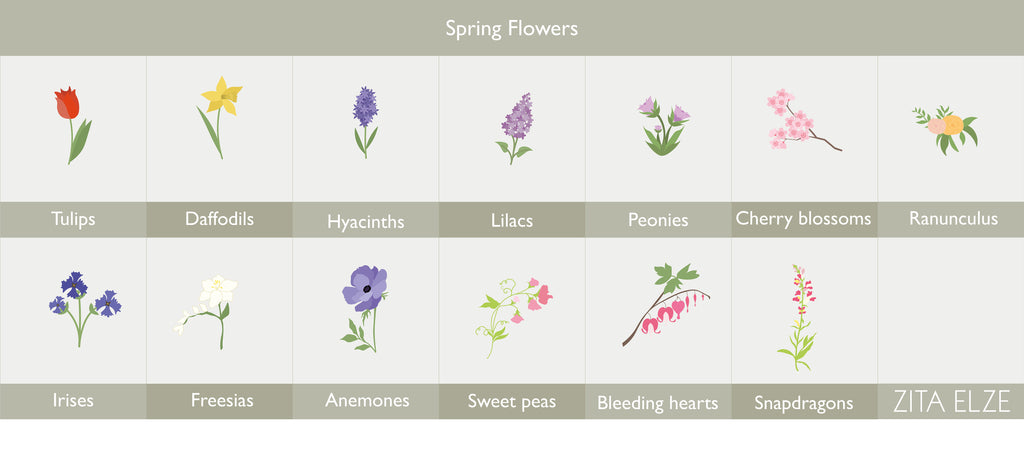 spring flowers infographic