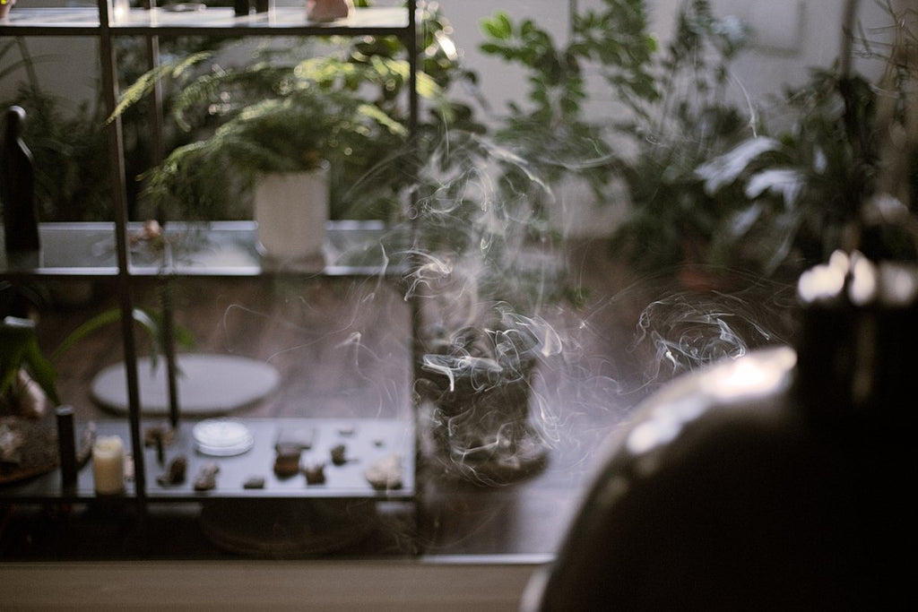 tea room in Berlin filled with plants and incense smoke