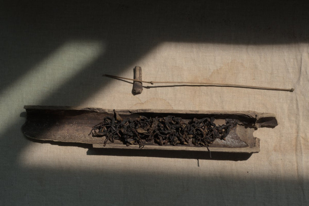 tea in the bamboo tea scoop under sunlight