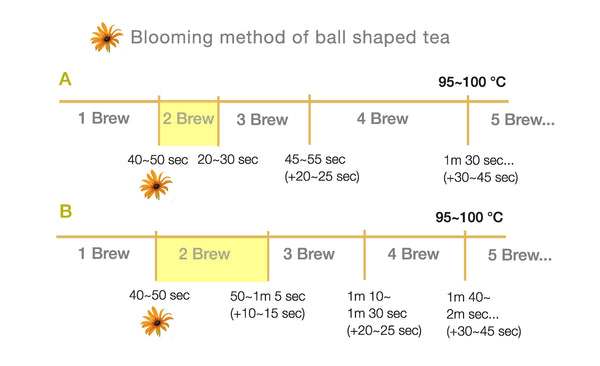 gongfu tea brewing guide graphic