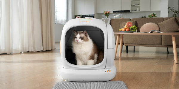 self-cleaning litter boxes can be safe for most cats when chosen and used properly