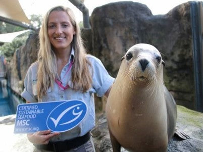 Taronga Zoo sources its seafood sustainably 