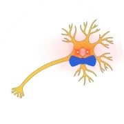 Cartoon neuron wearing a blue bow tie on a white background.