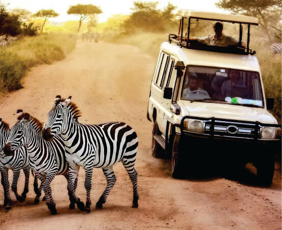 Jeep 4x4 grise avec toit escamotable transportant un groupe de voyageurs sur un chemin de terre près de zèbres dans le Masai Mara lors d'un safari de 10 jours au Kenya et en Tanzanie