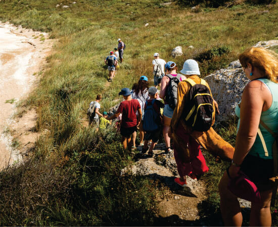 grupo de mochileros caminando sobre un campo de hierba verde en Masai Mara durante 3 días uniéndose a tours para grupos pequeños