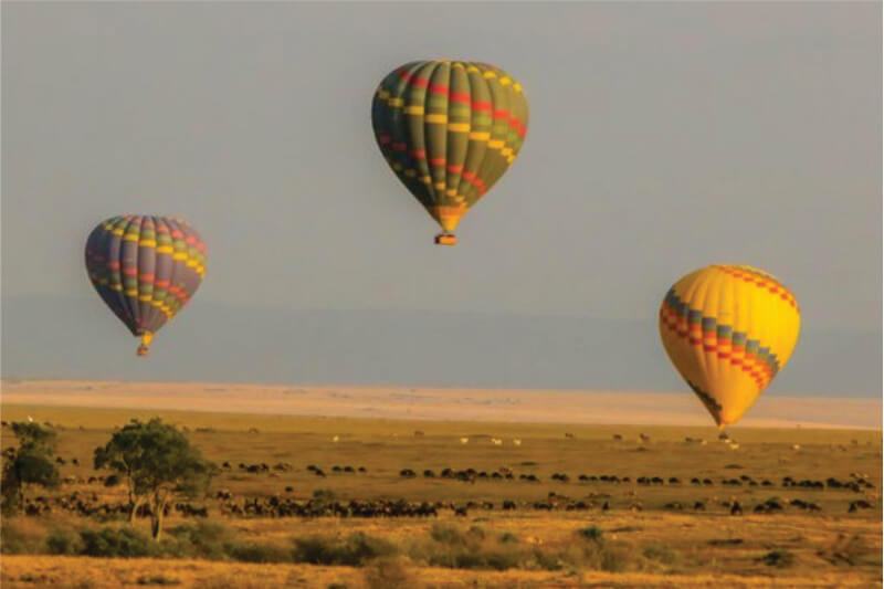 肯尼亚马赛马拉热气球之旅中，一群人乘坐三个热气球飞越马赛马拉平原