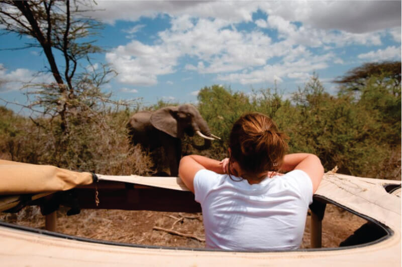 Junges Mädchen in weißer Bluse im Safari-Jeep mit Blick auf Elefanten im Busch in der Masai Mara zur besten Zeit, um Kenia zu besuchen