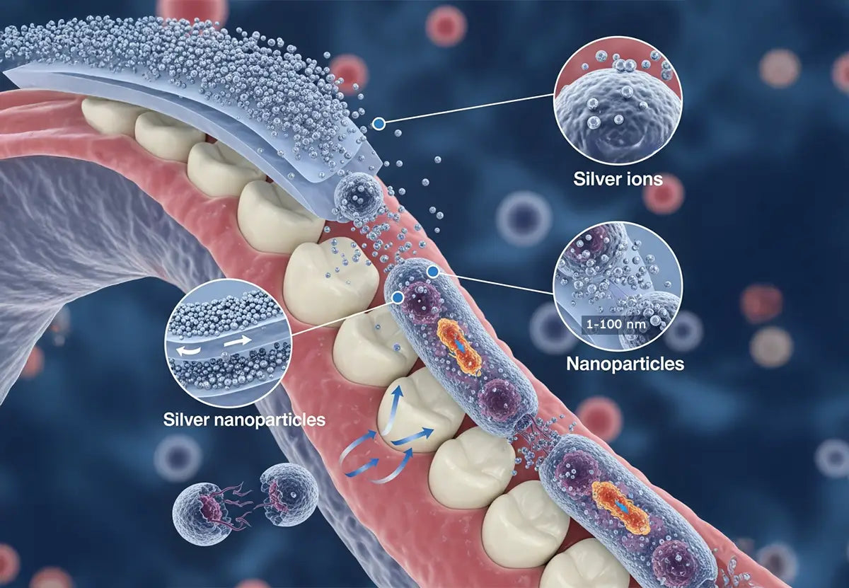 How-Nano-Silver-Kills-Bacteria.webp__PID:2d2d1178-515c-4d2c-9d95-a758bbf49747