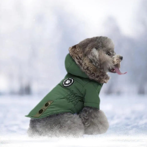 Winter Jackets