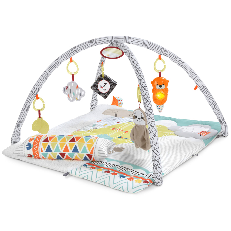 fisher price infant play mat