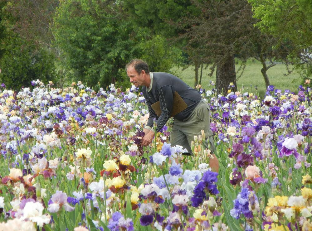 Ray Schreiner in Seedling Bed