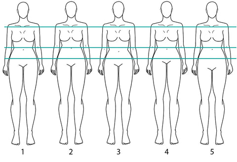 Graphic image illustrating body proportions