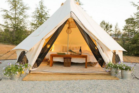 Tents at the Fork & Plow Lavender Farm