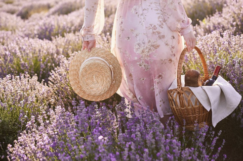 What to do when visiting the lavender fields