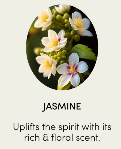 Jasmine Ingredient