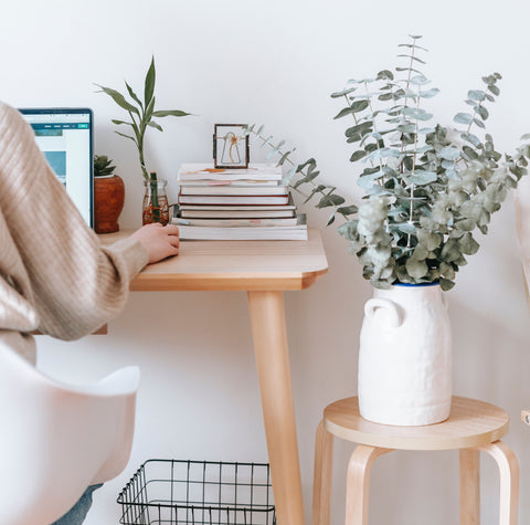 plant on a stool by a desk