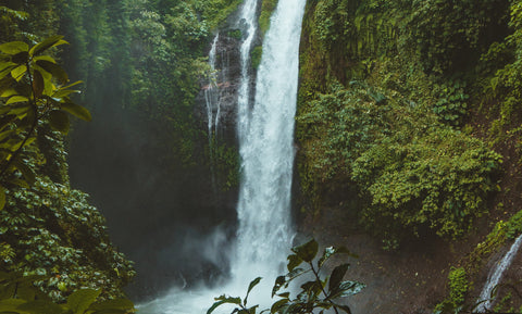 Rainforest Hidden Waterfall