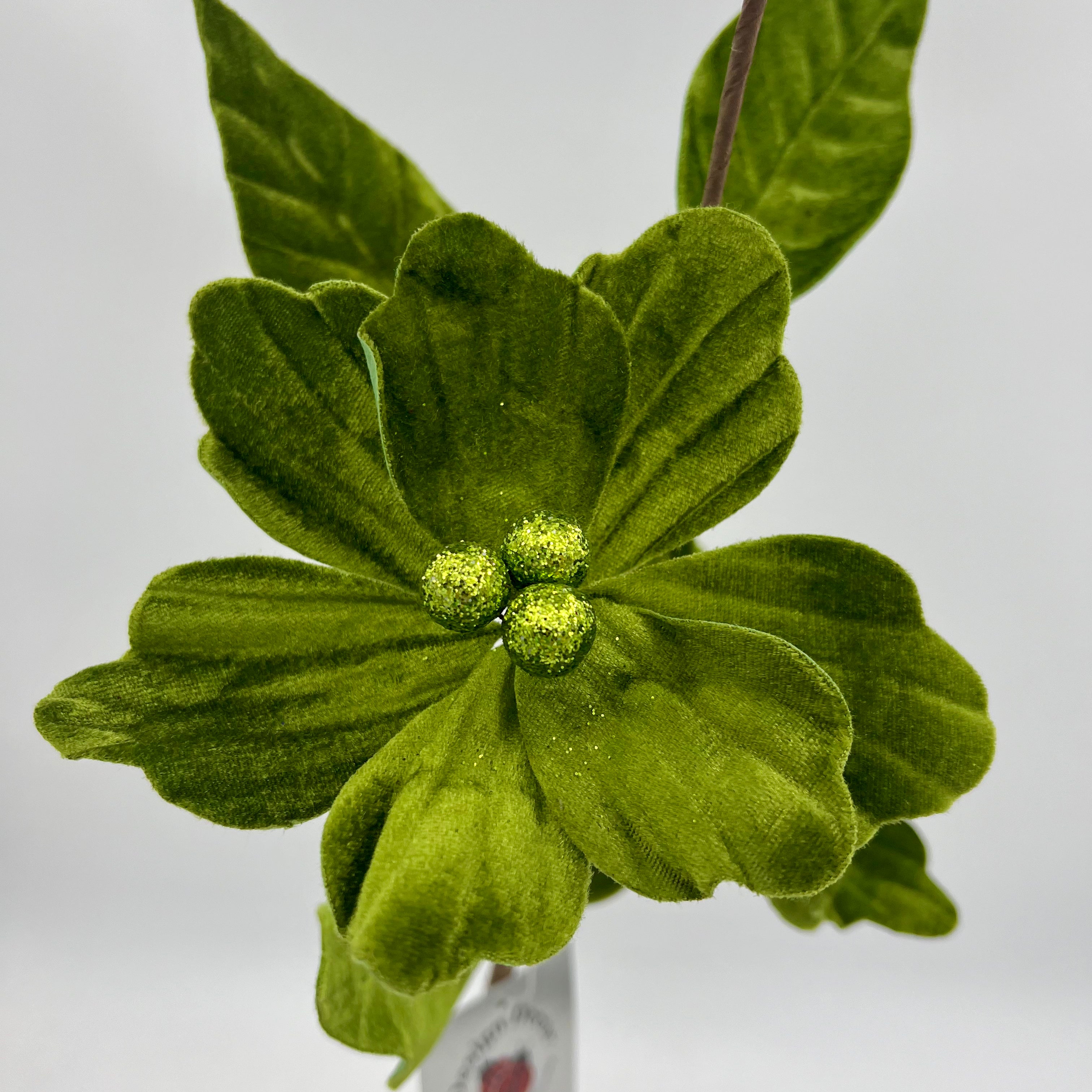 28" Lime Velvet Trio Amaryllis Stem