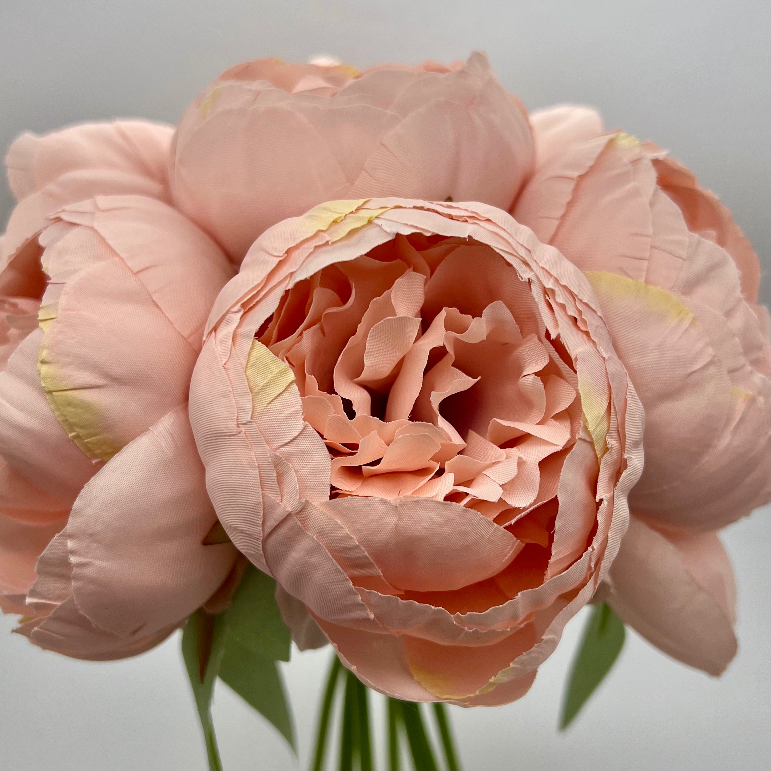 10" Pink Peony Bundle