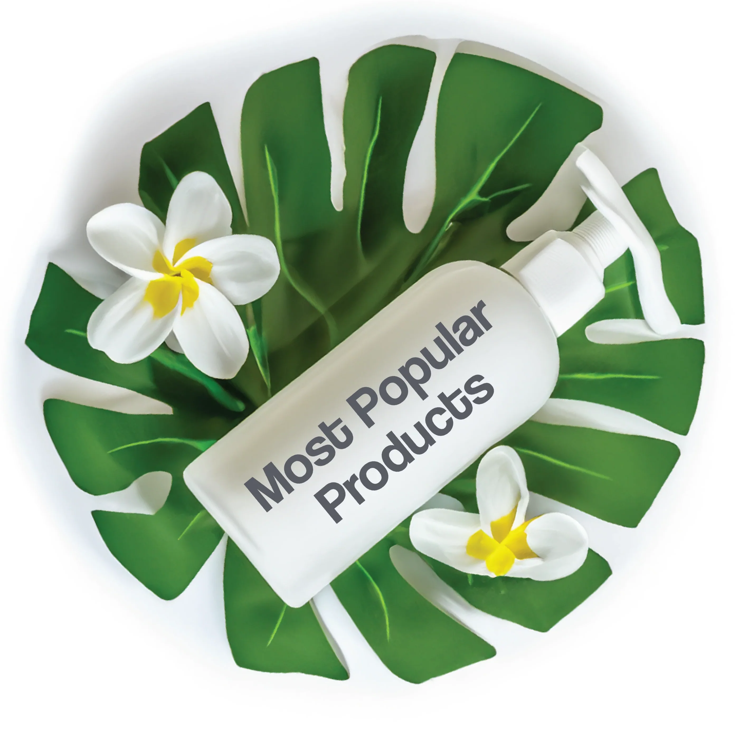 Most Popular Products