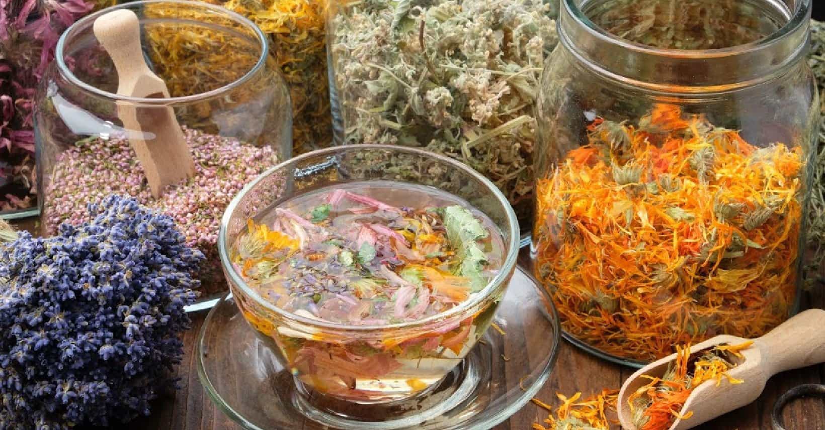Colorful herbs infusing in oil