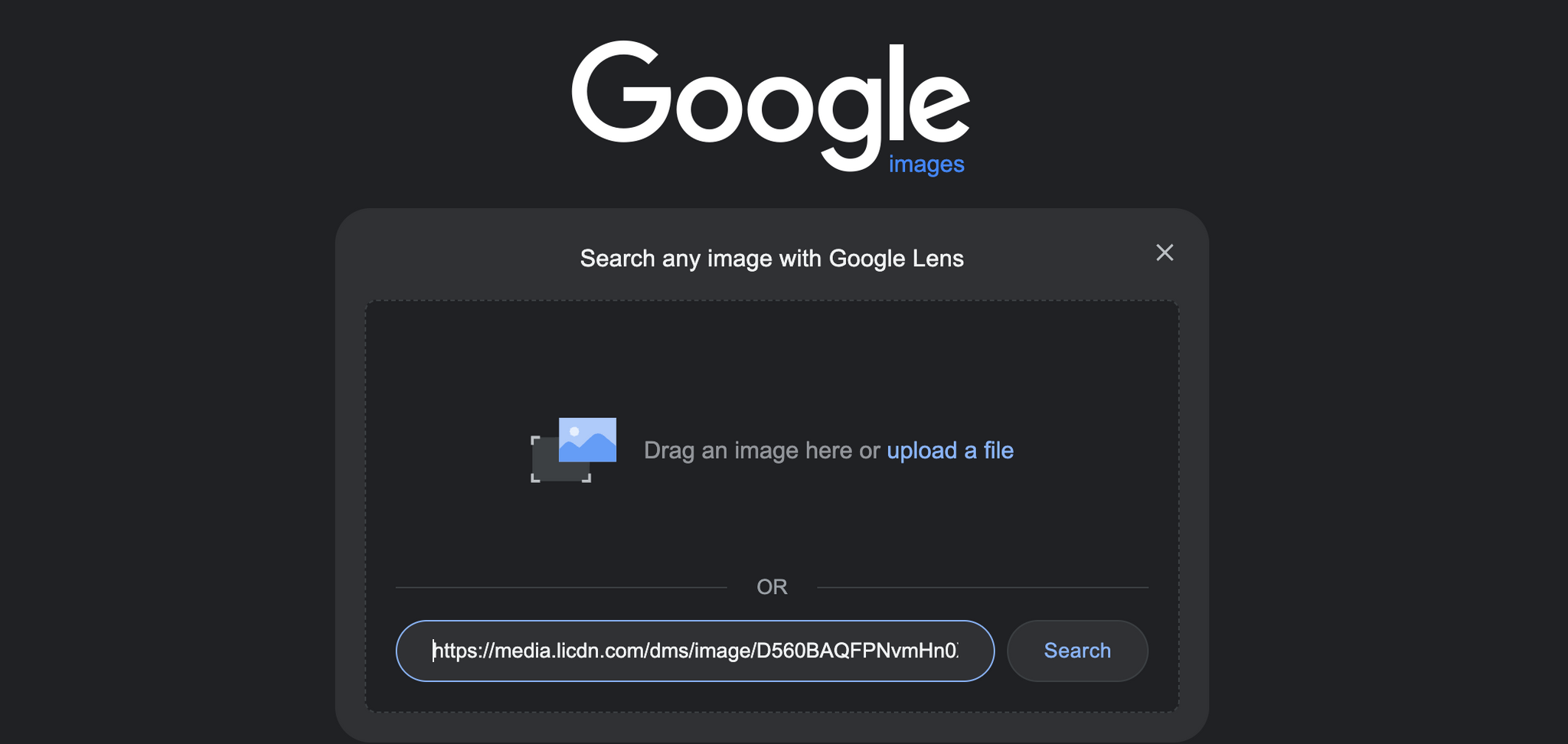 Google Image Search By URL