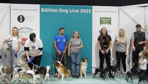 Edition Dog Live 2022