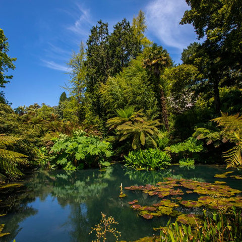 Lost Gardens of Heligan