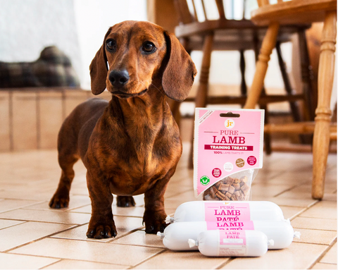 Small Breed Dog With Natural Treats