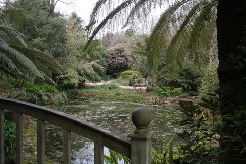 Trengwainton Garden Cornwall