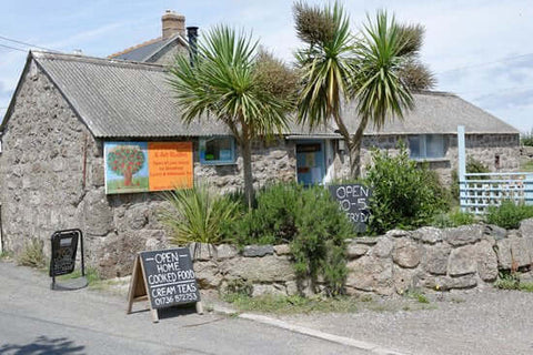 Apple Tree Cafe Lands End Cornwall