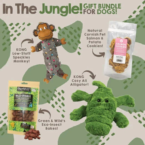 Dog Toy & Grain Free Treat Bundle