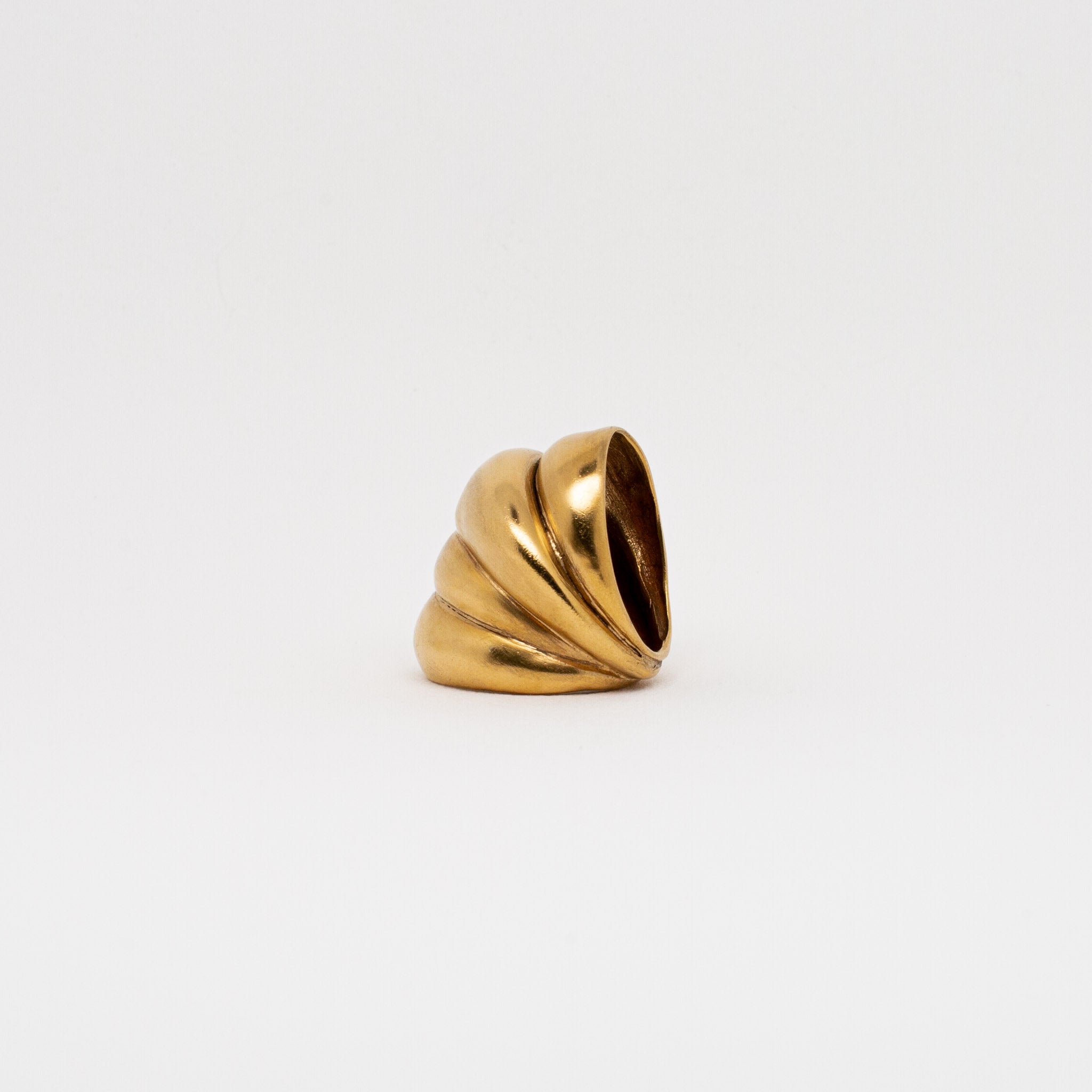 Coral Golden Bronze Ring – The Plum Stone