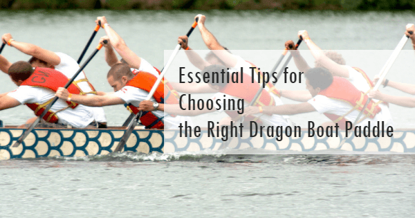 How to choose a dragon boat paddle