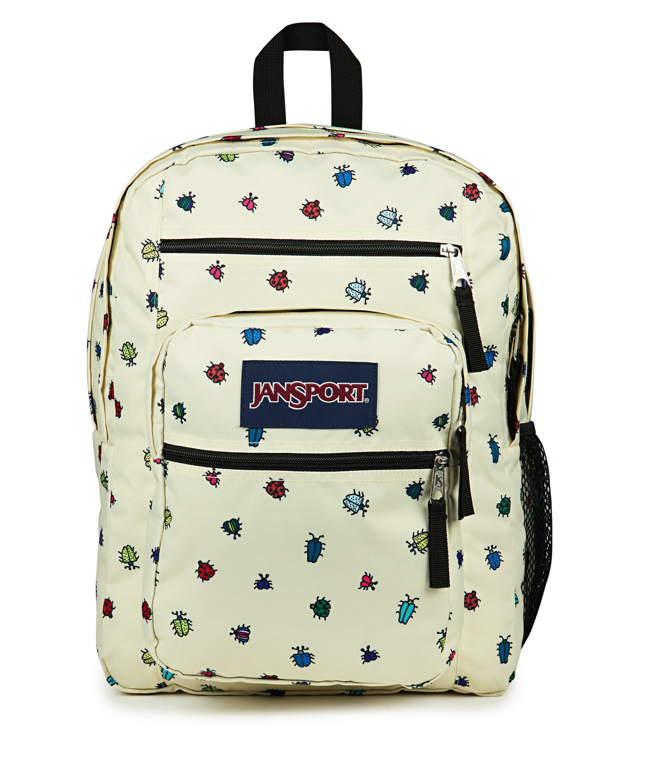 Big Student - A Bug's Vibe