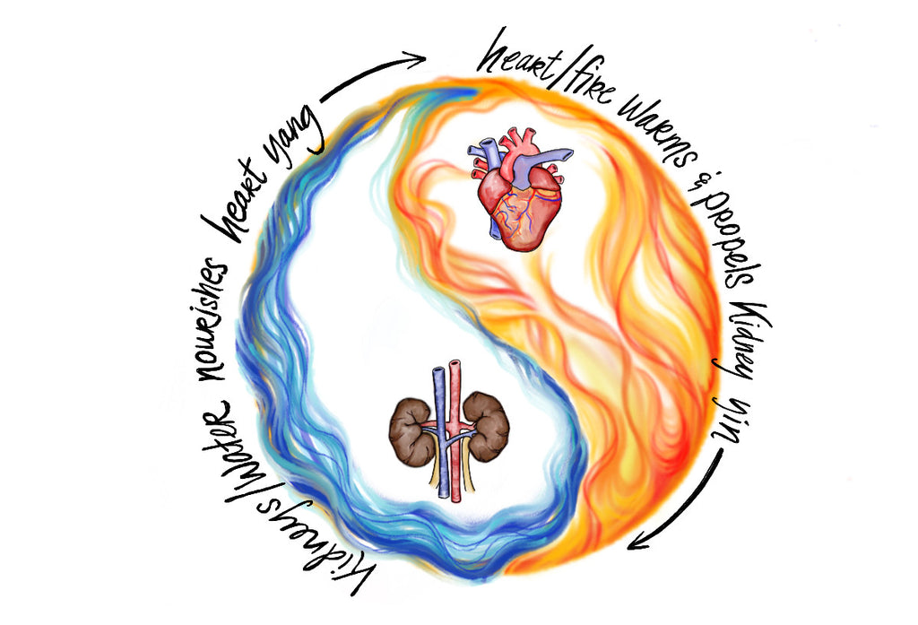 Drawing depicting fire and water as yin and yang