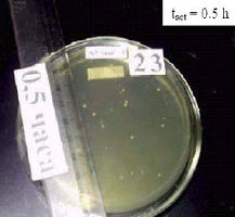 Petri dish of MRET-activated water