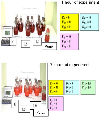 Photos and charts of anaerobic experiments